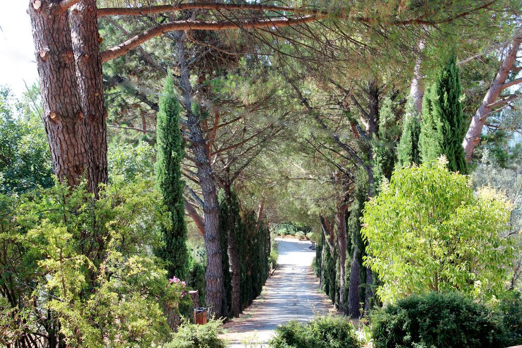 Agriturismo Antico Borgo Poggitazzi Loro Ciuffenna Exterior foto